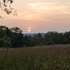 Meet your Posher, Rebekah